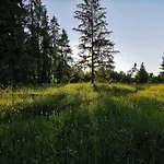 Apartament To Tu