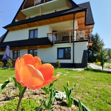 To Tu Apartment Czarna Gora