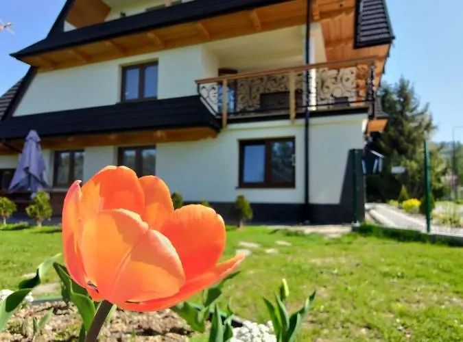 To Tu Apartmán Czarna Góra